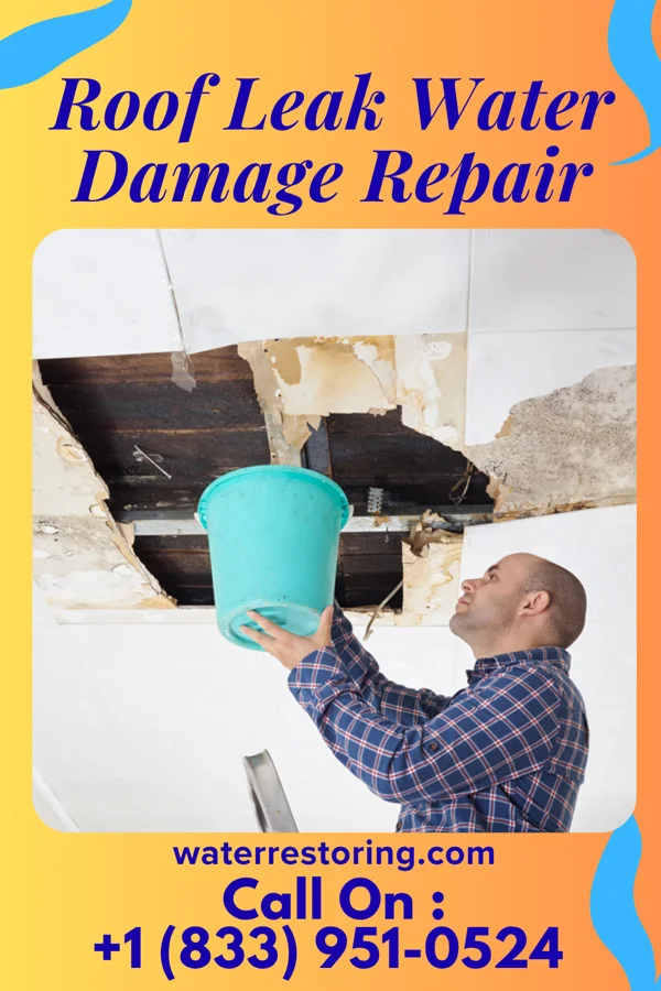 Roof Leak Water Damage Repair in Elliott, IA